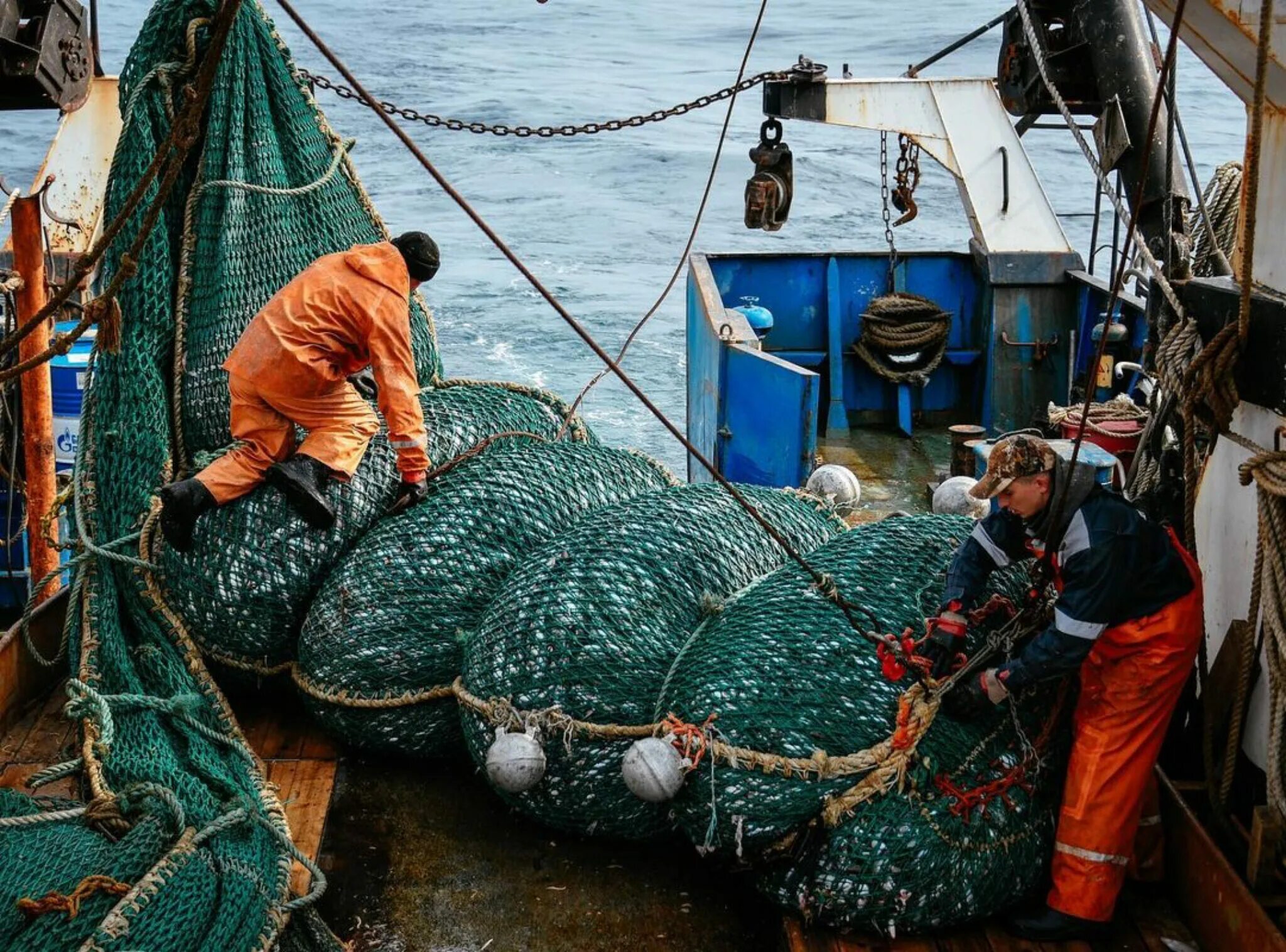 Морской промысел рыб. Рыбопромышленный комплекс дальнего Востока. Рыбный промысел в Мурманский рыбный порт. Охотское море промысел. Рыбная промышленность дальнего Востока.