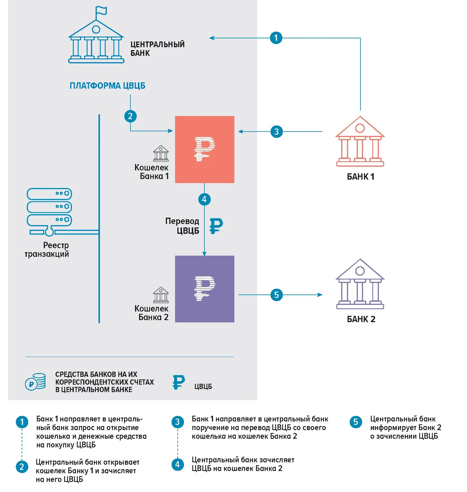 Модели цифрового рубля. Цифровой рубль, Центральный банк. Цифровой рубль инфографика. Модели цифровых банков. Операции с цифровой валютой в основном