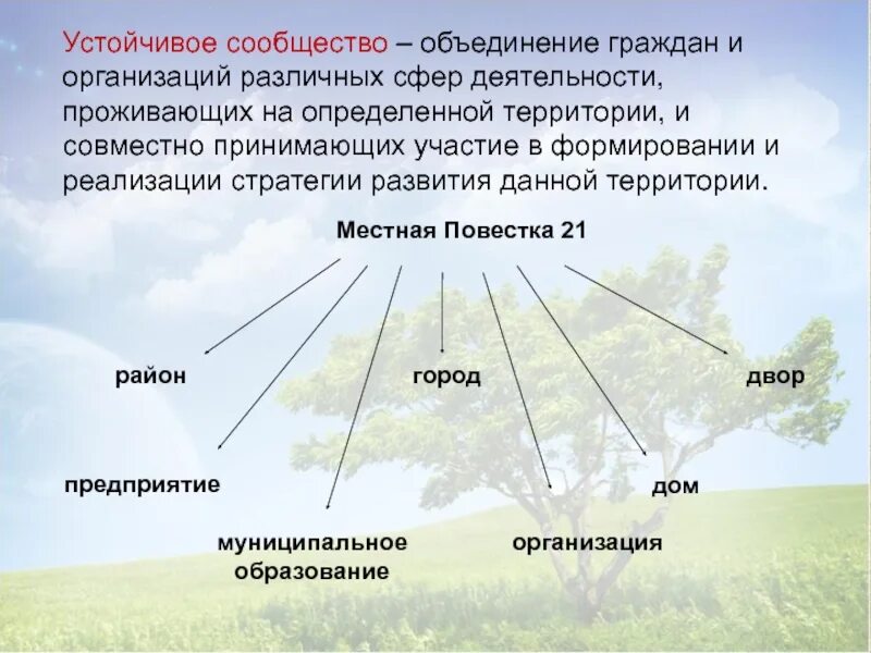 Стабильные сообщества. Устойчивые сообщества. Примеры устойчивых сообществ. Признаки устойчивого сообщества. Что такое устойчивое сообщество в природе.