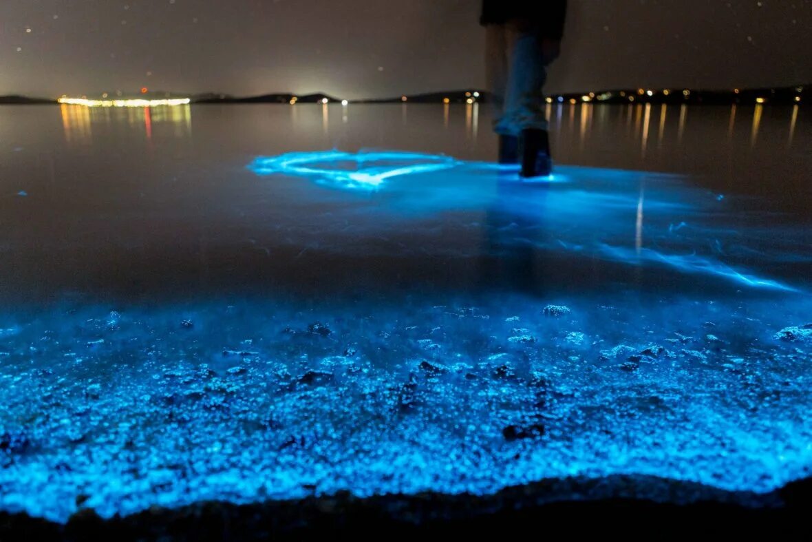 Glowing beach