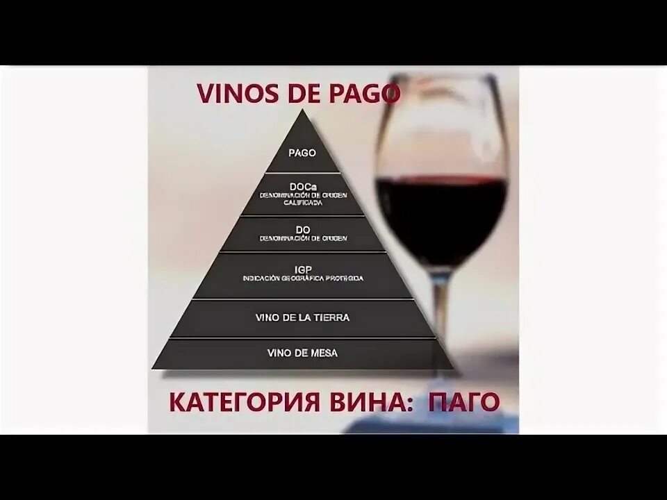 Категории вин. Вино категории. Категория вина PDO. Высшие категории вин. Ютуб канал вин вин