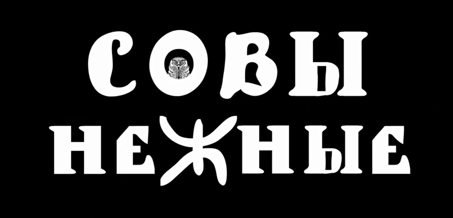 Песни совы нежные. Песни совы нежные. Совы нежные уюй. Песни совы нежные. Совы нежные.