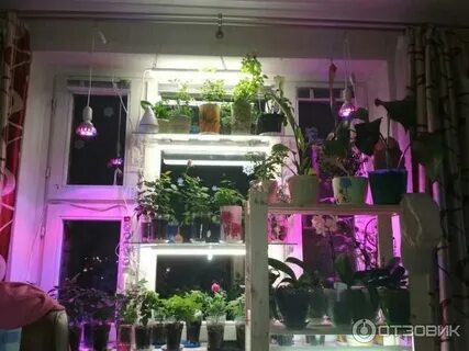 Минифермер спб лампы для растений
