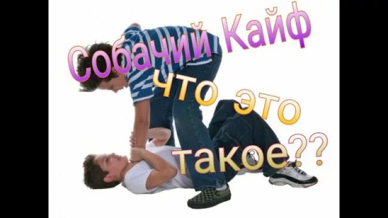 Собачий кайф что это такое. Собачий кайф. детская игра собачий кайф. опасные игры собачий кайф.