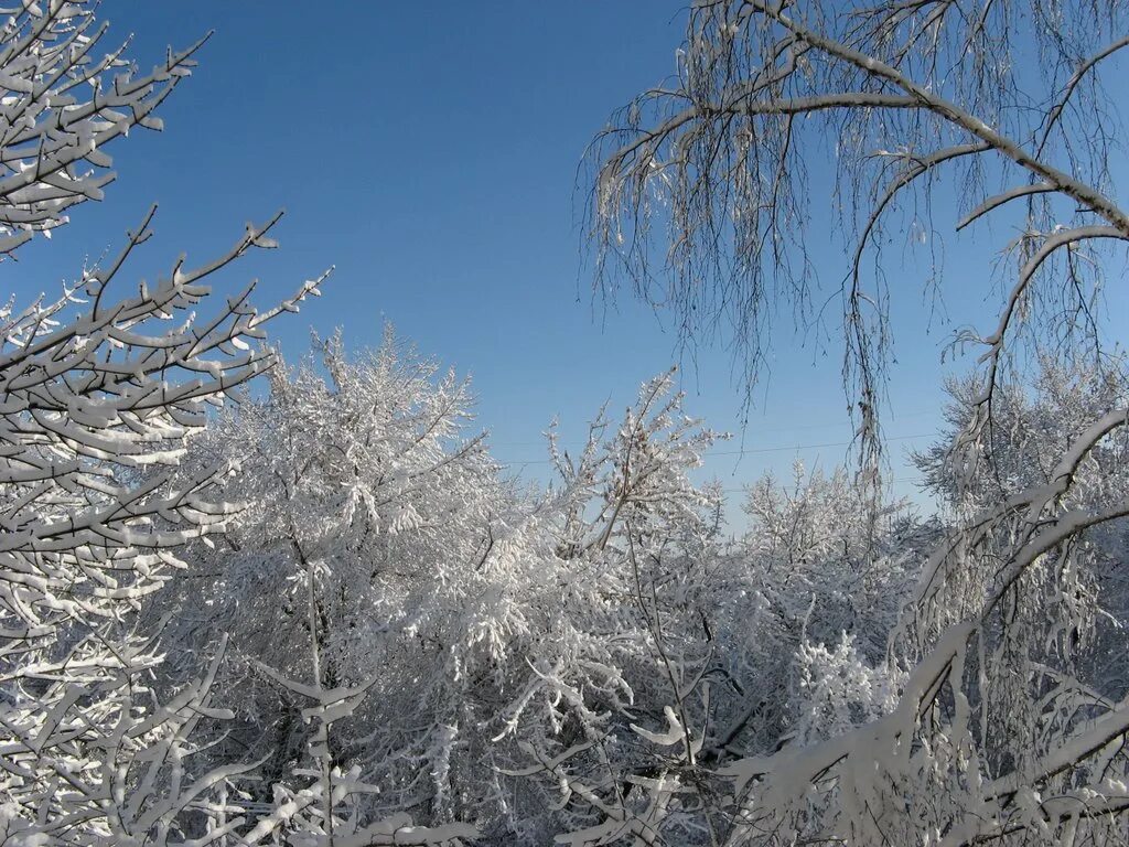 Погода на 10 дней чапаевск самарская область. Чапаевск зимний. Кутьев Хутор Чапаевск. Чапаевск зимой. Город Чапаевск Самарской области.