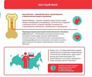 Донорство костного мозга как проходит