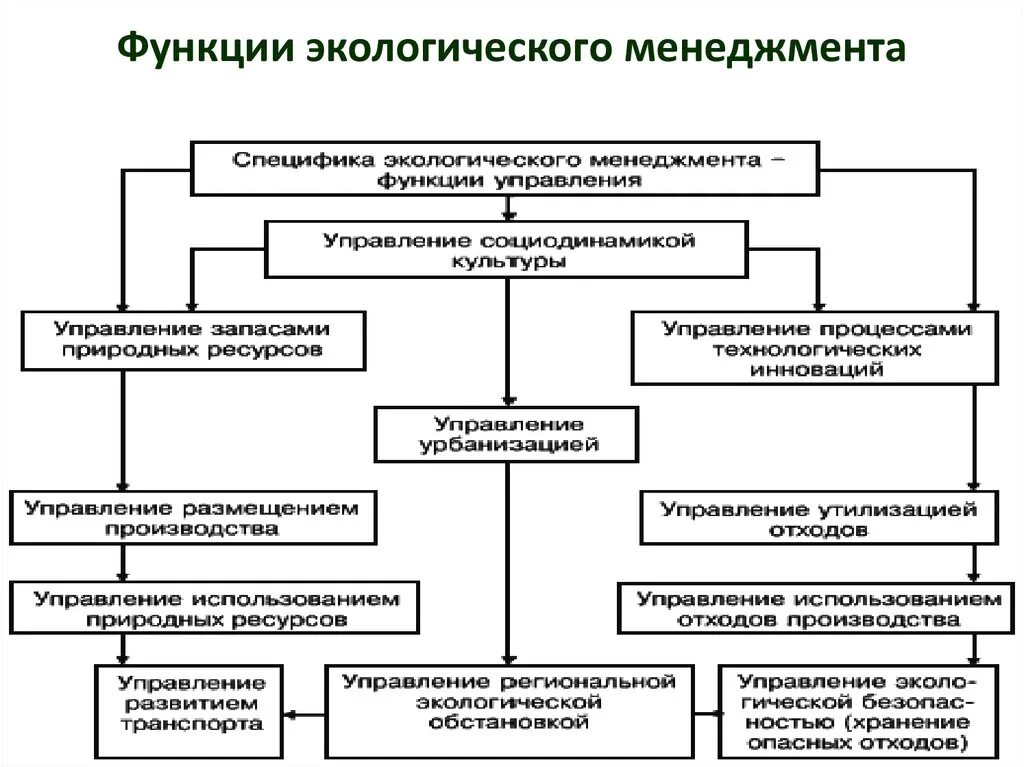 Организация экологического менеджмента. Функции экологического менеджмента. Функции и принципы экологического менеджмента. Функции управления экологическим менеджментом. 1. Основные функции экологического менеджмента.