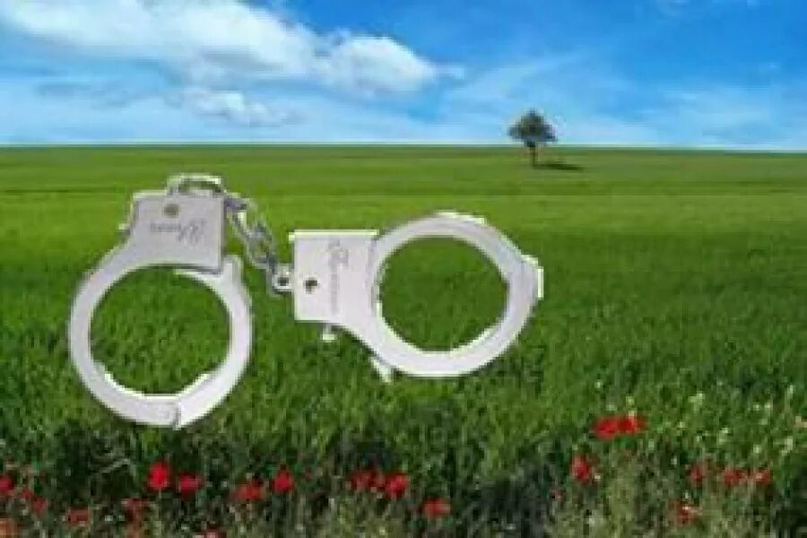 Дача стаховича сочи. Арест на имущество земельный участок. Арест земельного участка. Деревня луги тверская новости. Приставы земельный участок.