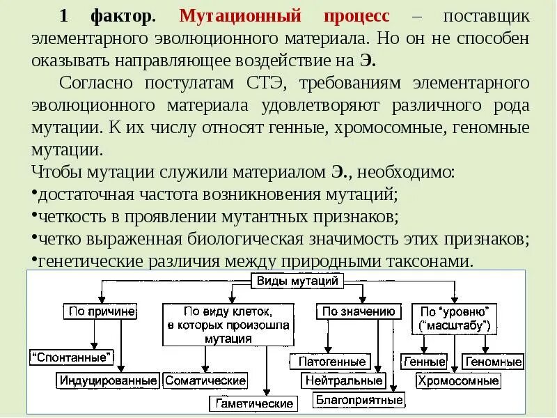 Мутационный процесс результат. Синтетическая теория эволюции мутационный процесс. Согласно эволюционной теории мутационный процесс. Современная теория эволюции. Факторы мутационного процесса.