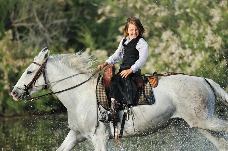 лошадь с надписью. фотограф лошадей. хочу стать лошадью. лошадь в конюшне. девушка в седле на коне.