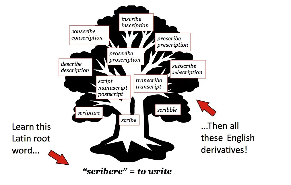 Infotech english for computer users ответы. Vocabulary tree computer ответы. designing word trees and spidergrams can help ответы. vocabulary tree designing word trees and spidergrams. vocabulary tree designing word trees and spidergrams ответы.