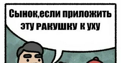 Ракушка пикабу