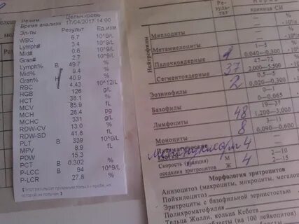 Расшифровка латинских букв в анализе