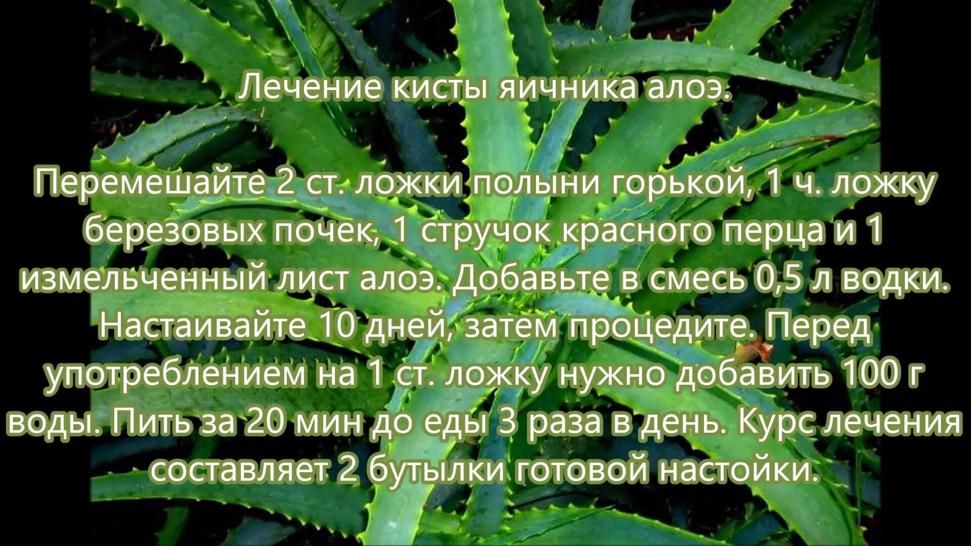 Киста яичника лечение народным методом. Киста яичника народные средства. Лечение кисты яичника народными средствами. Народные средства от кисты яичников.