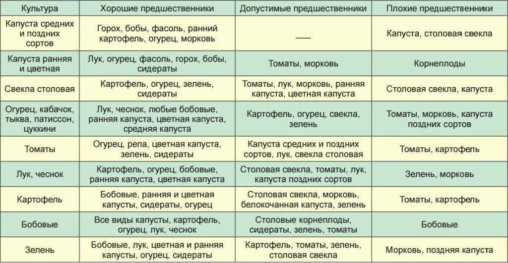 Посадка овощей предшественники таблица. Таблица севооборота овощных культур на огороде предшественники. Таблица севооборота овощных культур на огороде что после чего сажать. Лучшие предшественники для посадки овощей таблица. После каких овощей можно сажать