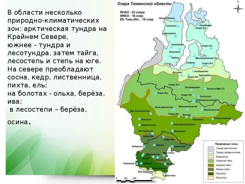 Карта тюмени и тюменской области. Климат Тюменской области. Природные зоны Курганской области. Тюменская область презентация. Карта Тюменской области для презентации.