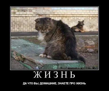 Не знаем мы про