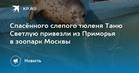 Как то в зоопарк привезли