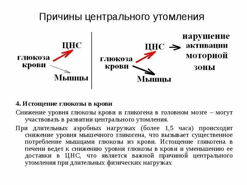 Почему при физической нагрузке повышается. Утомление при физической нагрузке. глюкоза в крови при физических нагрузках. уровень сахара при физической нагрузке. уровень глюкозы в крови при физической нагрузке.