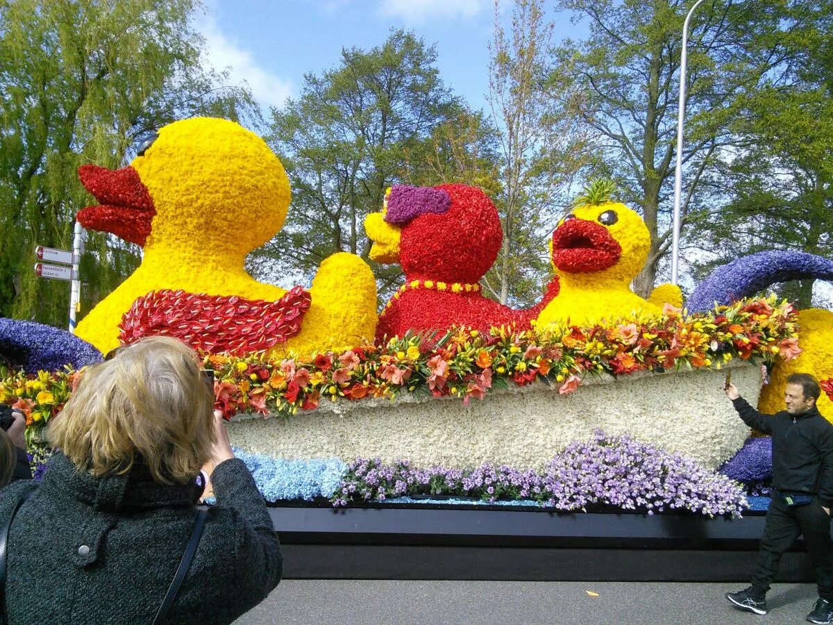 Парад тюльпанов блюменкорсо. Парад цветов калининград. Парад цветов поделка в сад. Фигуры из цветов. Фестиваль цветов в голландии.