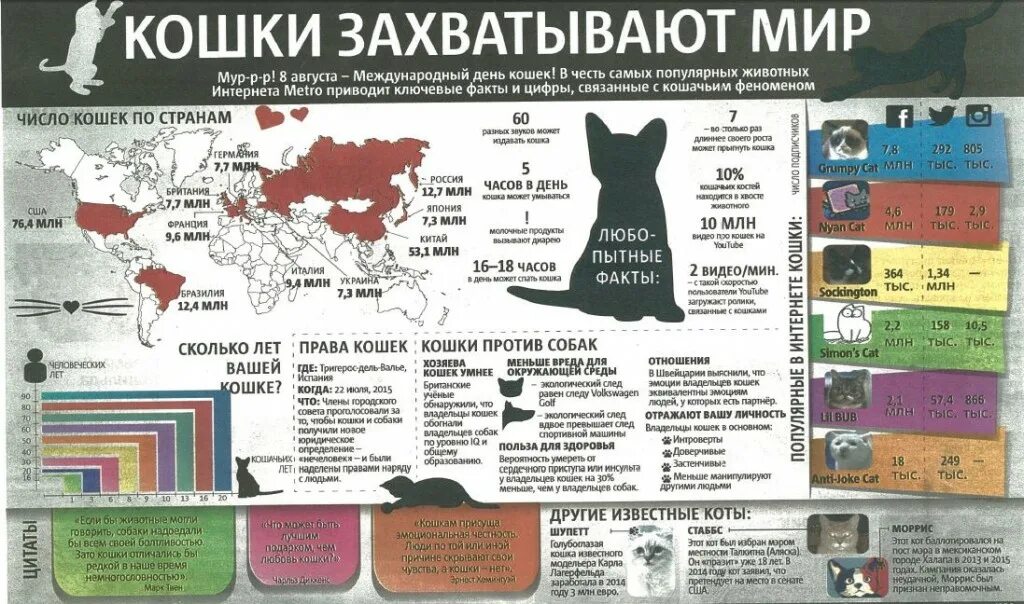 Статистика котов. Количество кошек в странах. Число кошек в мире по странам. Количество кошек в разных странах. Статистика кошек в России.