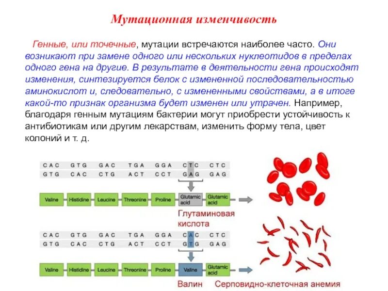 Мутационное изменение организма. Мутационная изменчивость генные мутации. Причины мутационной изменчивости. Причины возникновения мутационной изменчивости. Мутационная изменчивость (причины и классификация)..