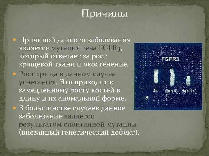 Единицей мутации является