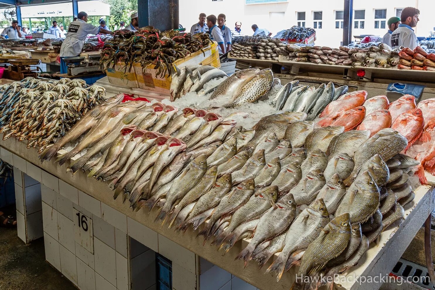 Купить рыбу в твери. Рыбопромышленный кластер Севастополь. Рыбный рынок в Темрюке 2023. Рыба на рынке. Рыба на прилавке.