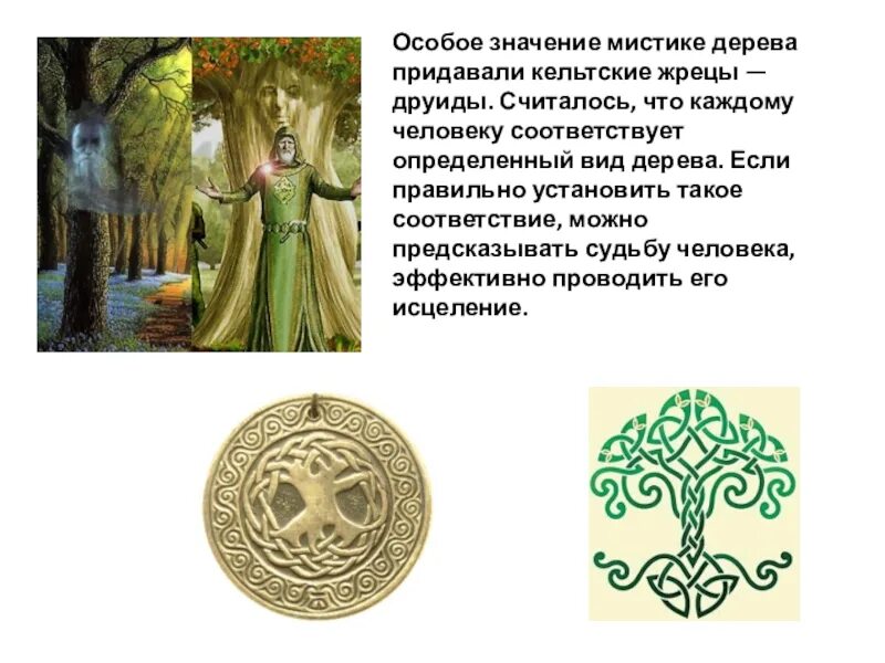 Кельтский жрец 5 букв. Символы друидов. Значение мистики. Мистическое что это значит. Дерево значений.