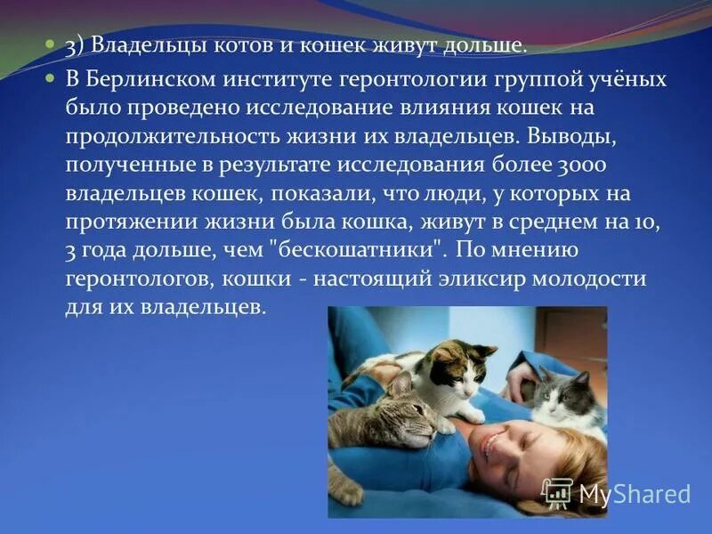 Кошки лечат. Влияние кошек на человека. Кошка лечит человека. Коты лечат людей. Играет роль кошки