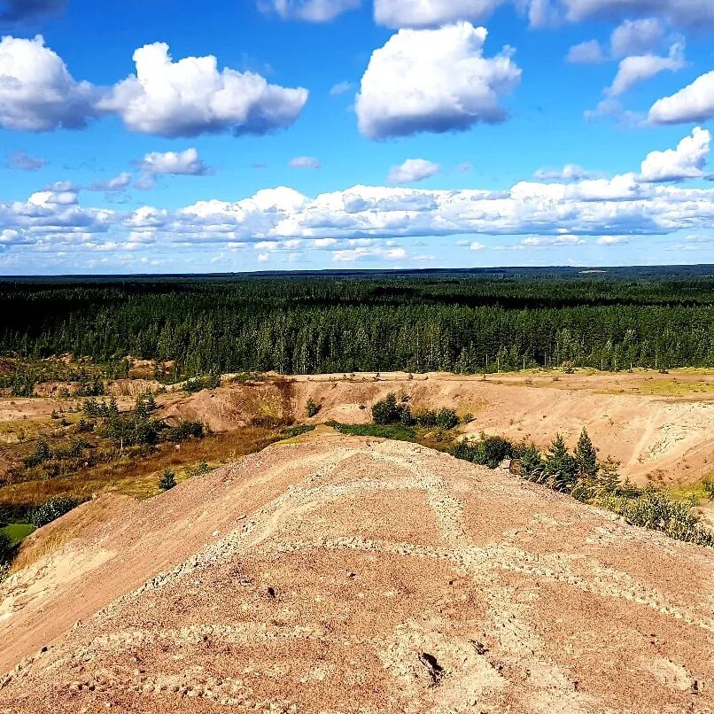 Каннельярви спб расписание