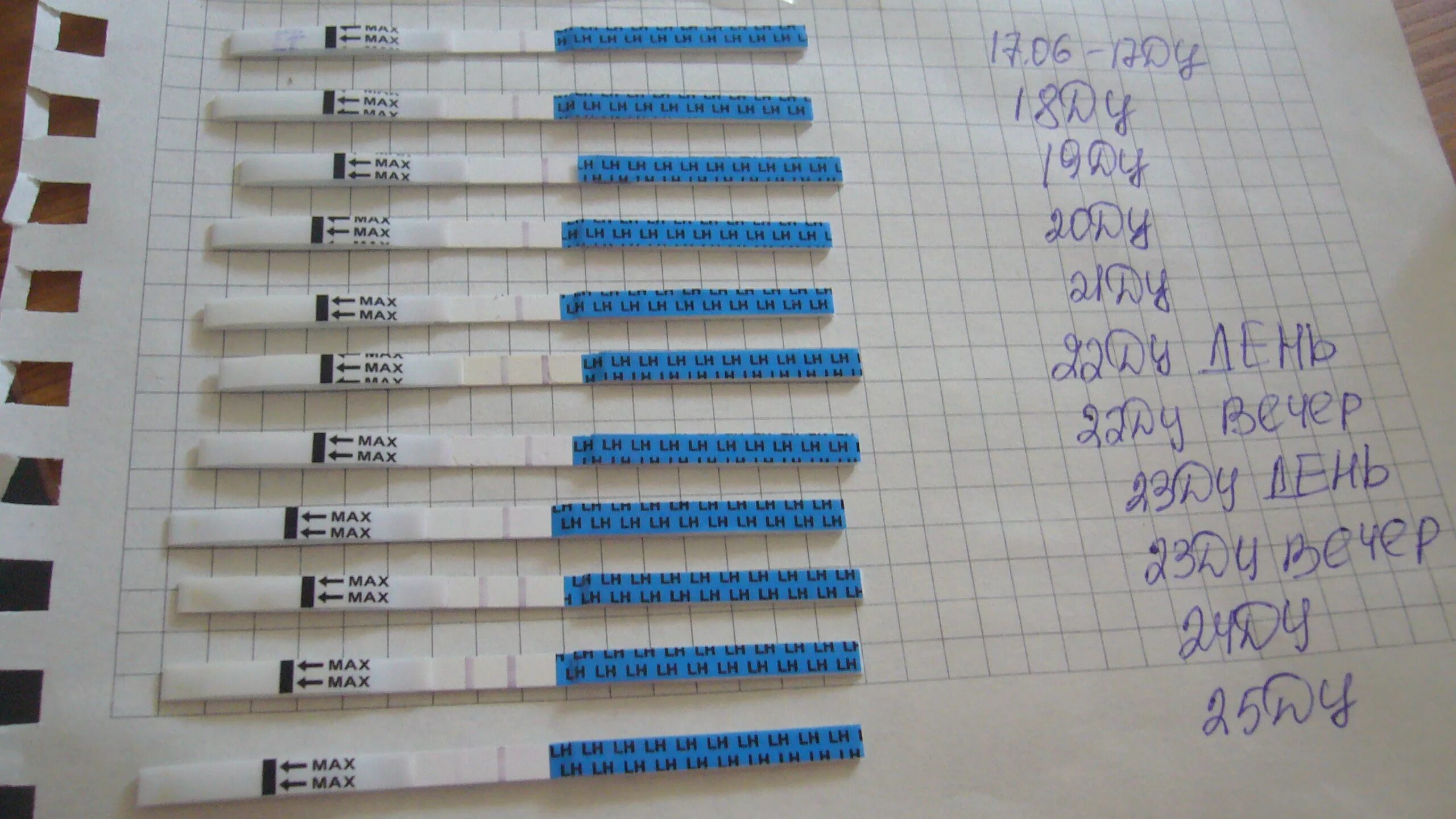 Месячные на 26 день. Тест на беременность. Тест на беременность по дням цикла. Тест на беременность день цикла. Тест на беременность до задержки.