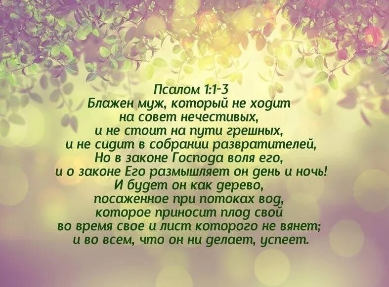 40 дней читать псалом. Первый Псалом. Псалом 1 картинки. Псалмы в картинках. Библия Псалом.