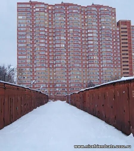 Гск 42 люберцы. Балашиха - 3. Квартира обычная. Без посредников люберцы. Квартиры без посредников.