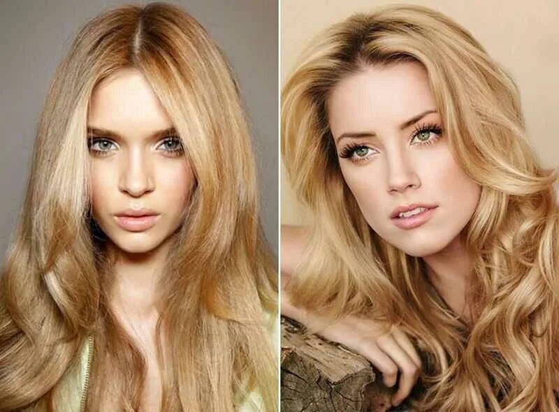 Светло пшеничный цвет волос краска для волос. Окрашивание пшеничный блонд. Рози хантингтон-уайтли окрашивание. Цвет волос теплые оттенки. Ларина ласвик.