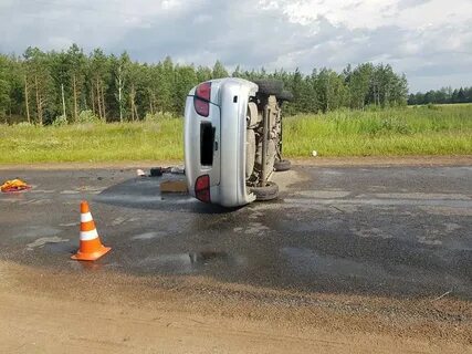 Водитель могилев