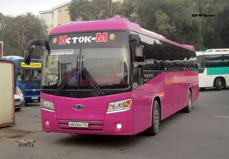 Автобусы исток