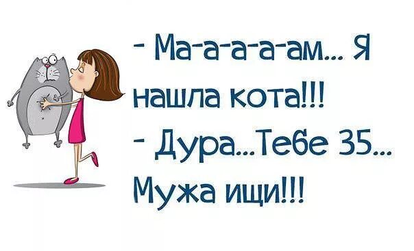 Спасибо дура кот. Ищу мужа. мама я нашла кота. ищу мужа юмор. смешные картинки ищу мужа.
