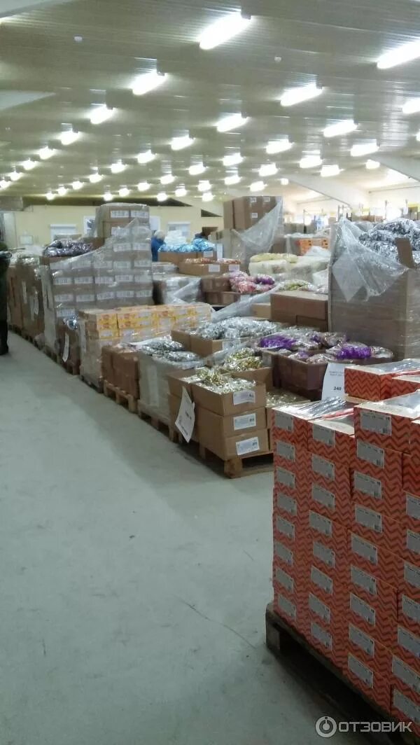 Магазин светофор стаканы. Магазин светофор новороссийск. Магазин светофор сантехника. Перевоз магазин светофор. Перевоз магазин светофор.
