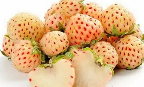 Ананасная клубника отзывы