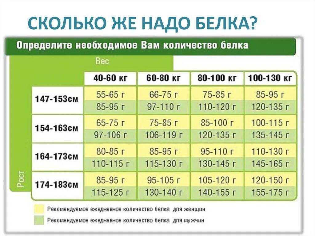 Сколько нужно употреблять белка для роста мышц