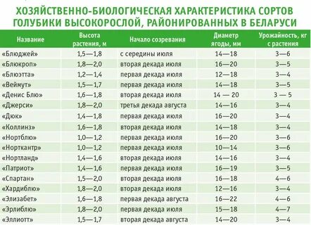 Сколько лимонной кислоты для полива голубики
