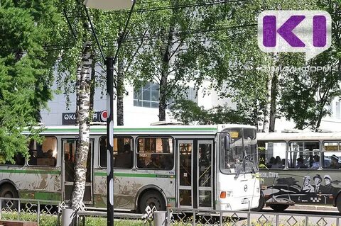 Автобусы на дачи 2024