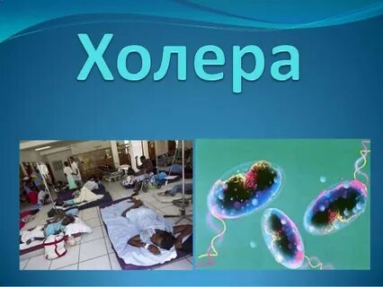 Группа холеры