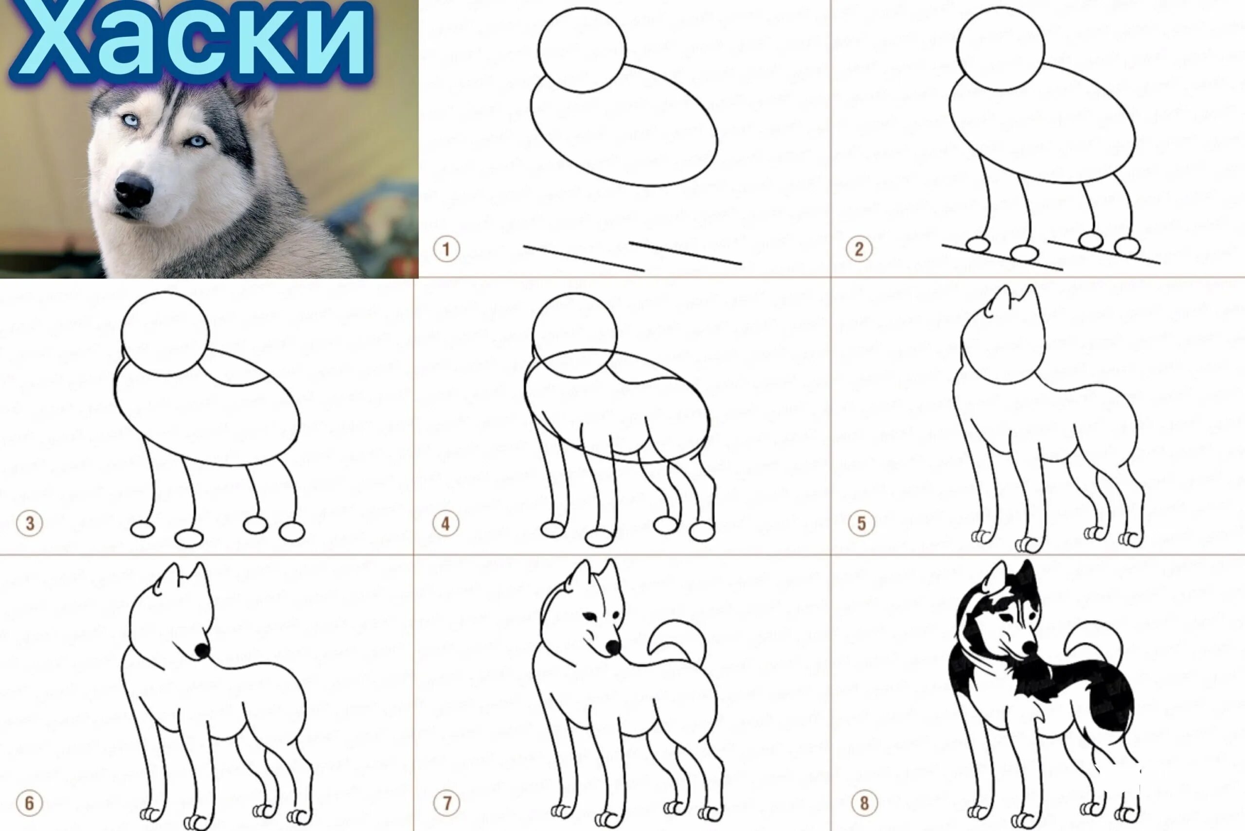 Как сделать легкую собаку