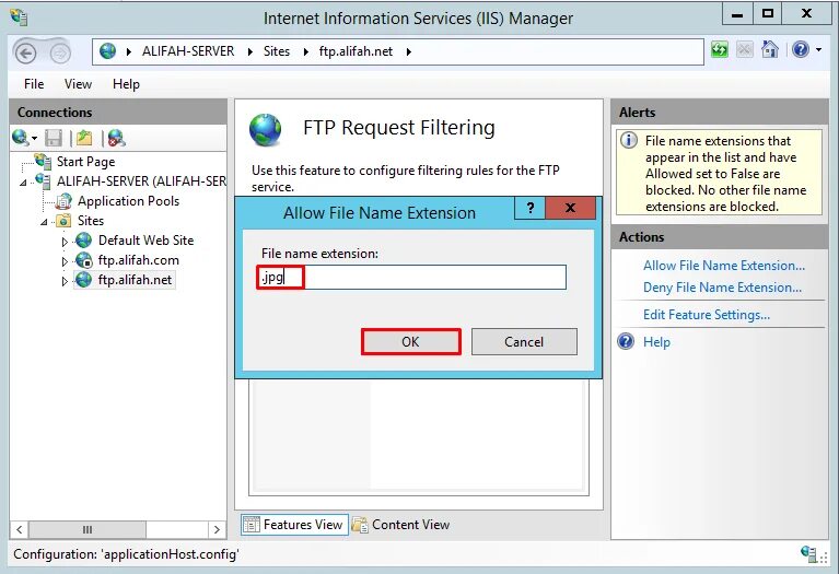 Allow files