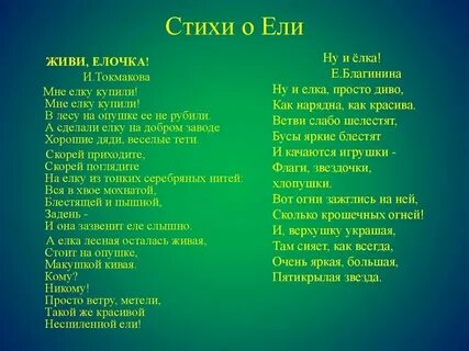 Стихи и песни о ели
