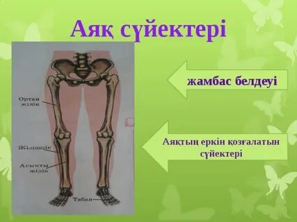 Жасырын камера юбка