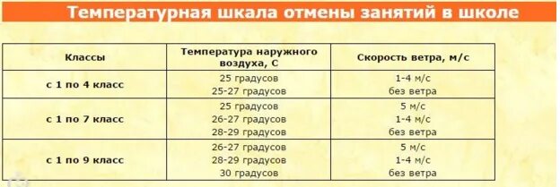 Со скольки градусов можно без шапки. При какой температуре отменяют занятия в школе. Температура при которой отменяются занятия. При какой температуре отменяются занятия в начальной школе. При какой температуре не ходят в школу.