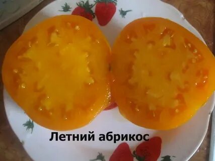Томат абрикосовый урожайность